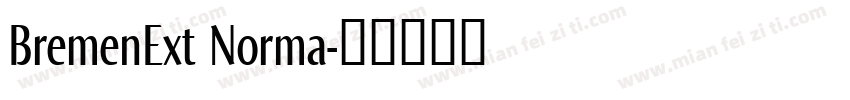 BremenExt Norma字体转换